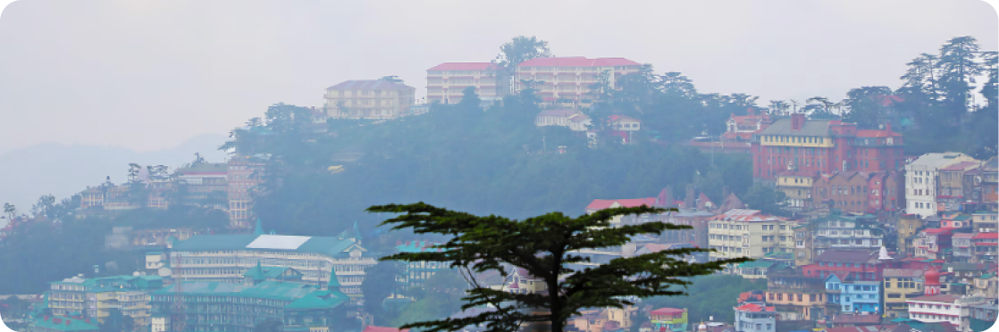 Baljee's Forest Hill 3